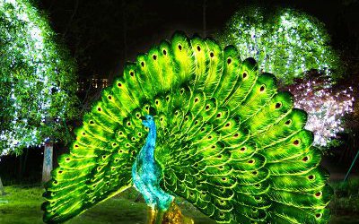 戶外景觀一只驕傲的玻璃鋼彩繪仿真動(dòng)物夜晚照明孔雀雕塑