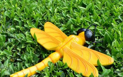 園林卡通玻璃鋼彩繪仿真動物蜻蜓雕塑