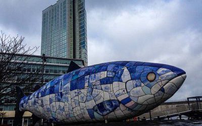 戶外廣場大型仿真動(dòng)物玻璃鋼彩繪魚雕塑