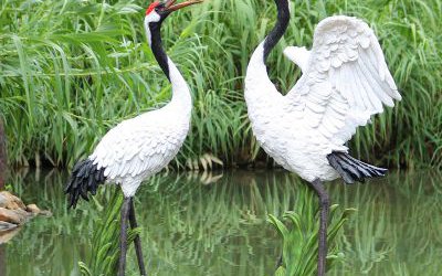 公園池塘玻璃鋼彩繪仿真動物仙鶴雕塑
